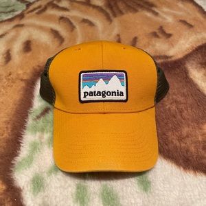 Patagonia Snapback